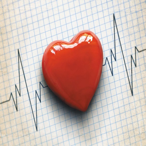 Cardiovascular/Heart Disease